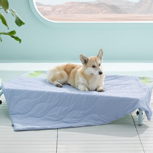 Cooling Pet Blanket for Dogs & Cats – Soft Washable Summer Cooling Mat for Beds, Crates & Sofas