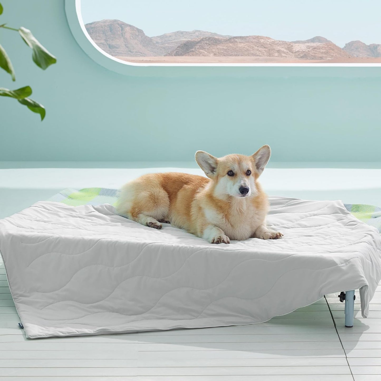 Cooling Pet Blanket for Dogs & Cats – Soft Washable Summer Cooling Mat for Beds, Crates & Sofas